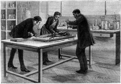 Trepanation of a rabbit in the laboratory of Louis Pasteur (1822-1895), for the study of rabies, drawing by C. Gilbert after nature. Engraving in 