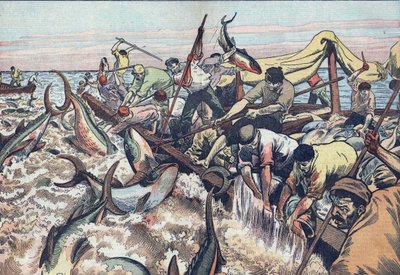 Tuna Fishing in Tunisia: 1925 by French School