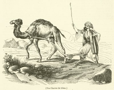 A Plow from Lebanon by French School