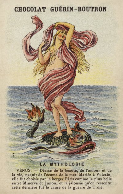 Venus by French School