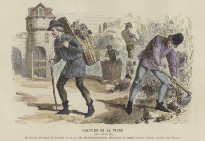 Viticulture, 15th Century by French School