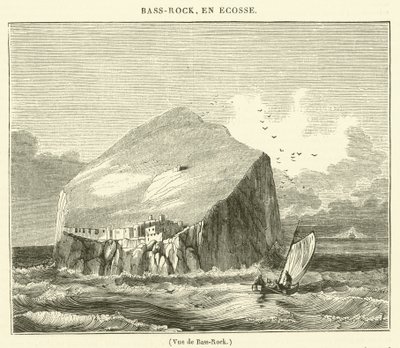 View of Bass Rock by French School