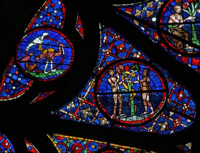 Window w115 depicting the Creation: birds, Adam & Eve & the serpent by French School
