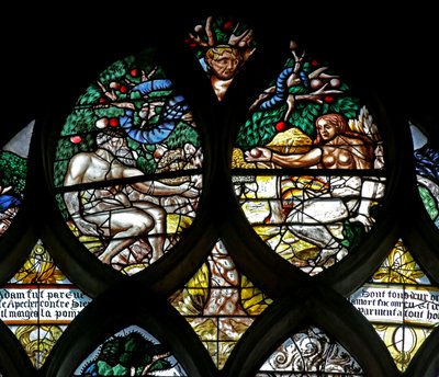 Window w122 depicting the Original Sin: Adam and Eve and the Serpent by French School