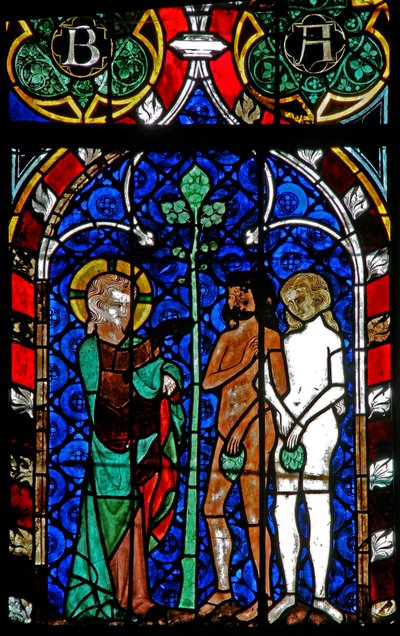 Window w17 depicting Adam and Eve try to hide their nakedness by French School