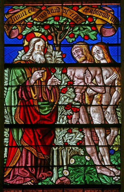 Window 40 depicting Adam and Eve discovered with fig leaves by French School
