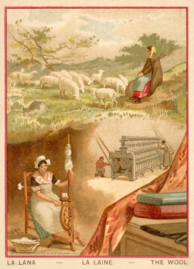 Wool by French School