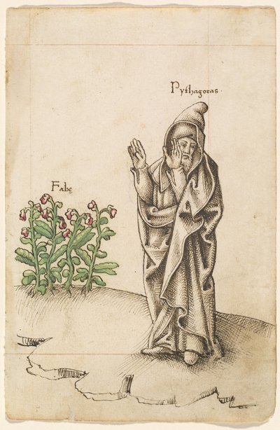 Do Not Eat Beans by French early 16th Century