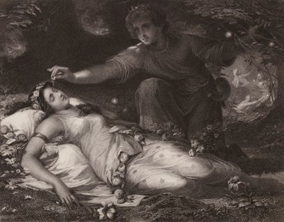 Shakespeare: A Midsummer Night