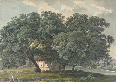 Italian Landscape with Trees by Friedrich Salathé
