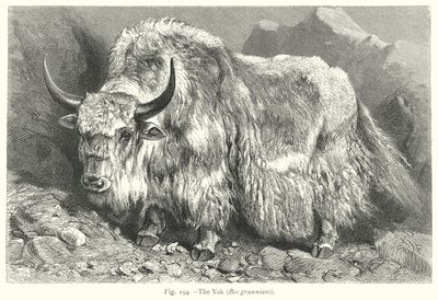  by Friedrich Specht