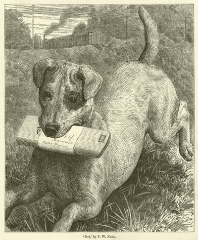 Dog by Friedrich Wilhelm Keyl
