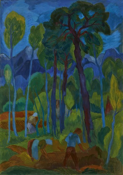 Moorland by Fritz Schaefler