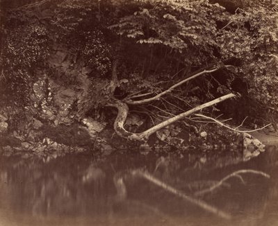 River Bank in the Vale of Neath by G. B. Gething
