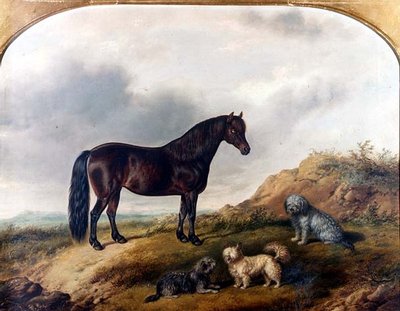 A Pony and Three Terriers in a Landscape by G. Jackson