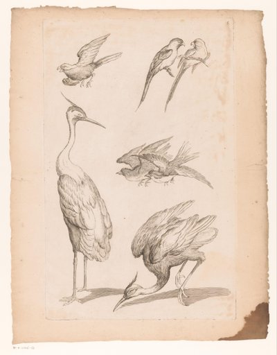Seven Chinese Birds, Including Herons and Parrots by Gabriel Huquier (attributed to)
