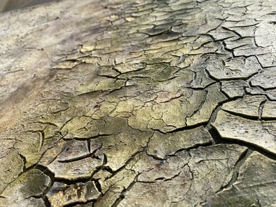 Weathered Organic Cracks by Gabriela Aleksandra Szuba