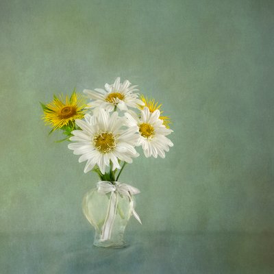 Fresh Daisy Bouquet by Gaille Gray