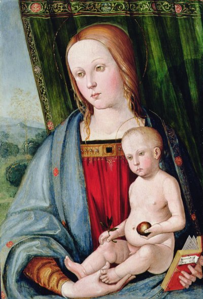 Virgin and Child by Galeazzo Campi
