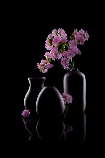 Dark Vases Pink Flowers by GaoSL