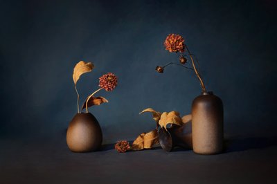 Moody Dried Flowers by GaoSL