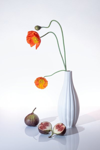 Orange Poppies and Figs by GaoSL