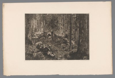 Forest Landscape by Gaston Coindre