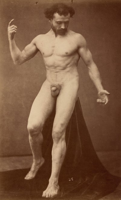 Nude Study, 1870s by Gaudenzio Marconi