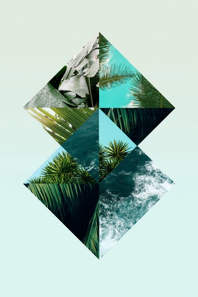 Geometric Tropics by Gemma Bardot