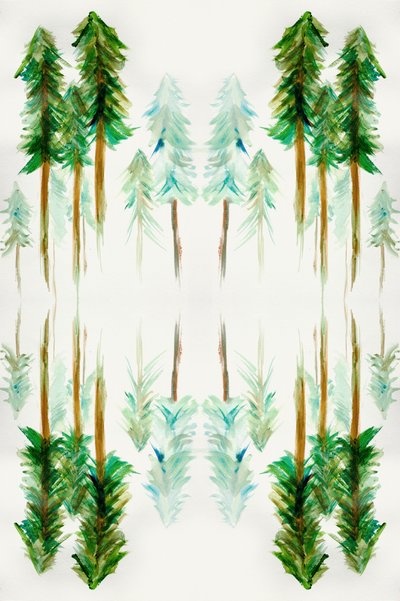Mirrored Pine Forest by Gemma Bardot