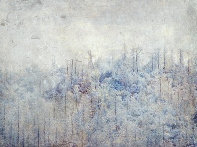 Serene Snowy Trees by Gemma Bardot