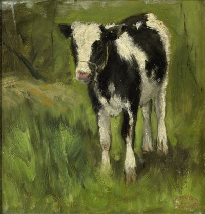 Calf by Geo Poggenbeek