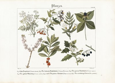 Medicinal and Poisonous Plants by Georg Bretzing
