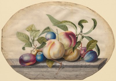Fruit Arrangement: Peaches and Plums on a Slab of Marble by Georg Dionysius Ehret
