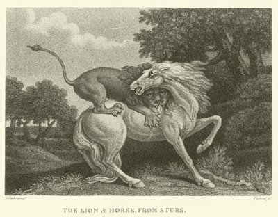 The Lion and Horse, from Stubs by George (after) Stubbs