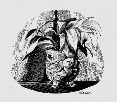 Aspidistra in a Bowl, 1950s by George Adamson