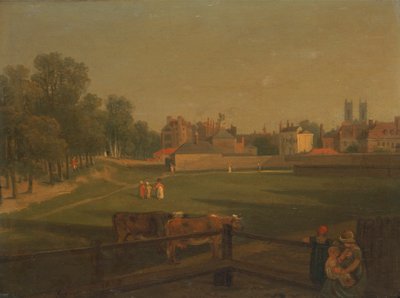 A Western View of Part of Westminster and Bird Cage Walk Taken from the Mill House by George Arnald