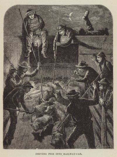 Driving Pigs into Railway Car by George Augustus Sala
