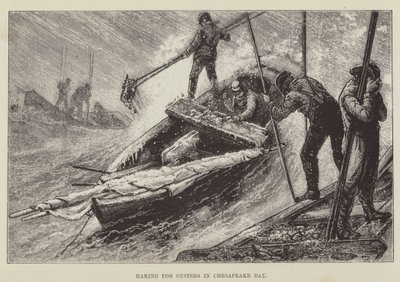 Raking for Oysters in Chesapeake Bay by George Augustus Sala