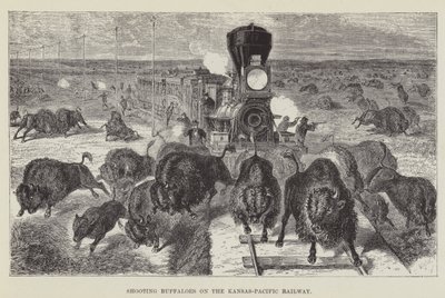 Shooting Buffaloes on the Kansas-Pacific Railway by George Augustus Sala