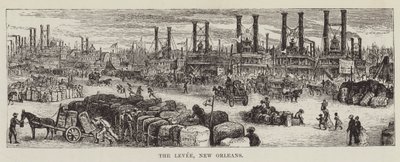 The Levee, New Orleans by George Augustus Sala