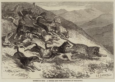 Hunting in India, a Leopard Hunt with Foxhounds at Ootacamund by George Bouverie Goddard