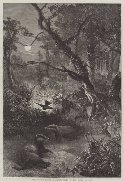 The Badger