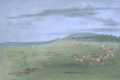 Antelope Shooting, Decoyed Up by George Catlin