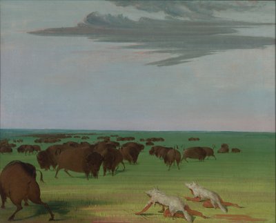 Buffalo Hunt under the Wolf-skin Mask, 1832-1833 by George Catlin