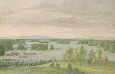 Swan Lake, Near the Coteau des Prairies by George Catlin