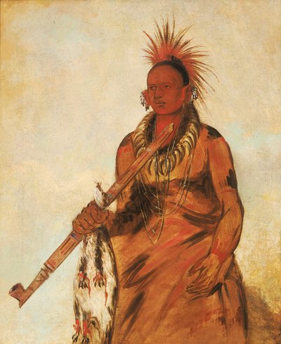 No-o-mún-nee, Walks in the Rain, a Warrior by George Catlin