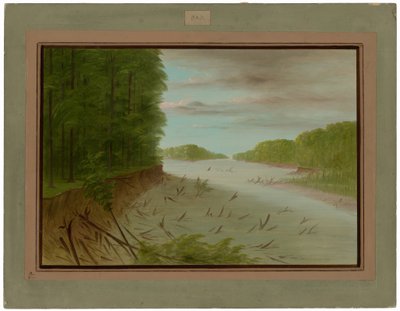 Scene from the Lower Mississippi by George Catlin