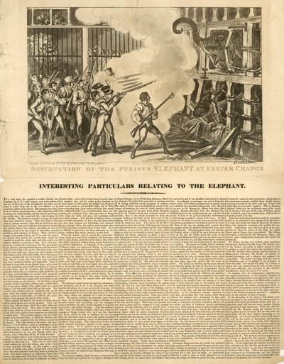 Destruction of the furious elephant at Exeter Change by George Cruikshank