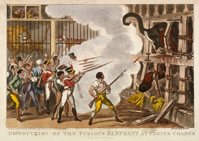 Destruction of the Furious Elephant at Exeter Change by George Cruikshank